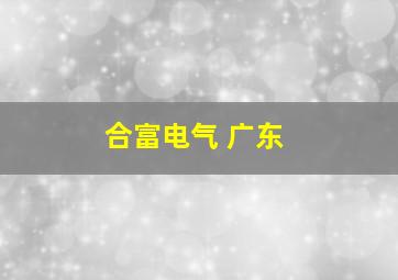 合富电气 广东